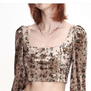 Cider Puff Sleeve Tan and Pink Crop Blouse